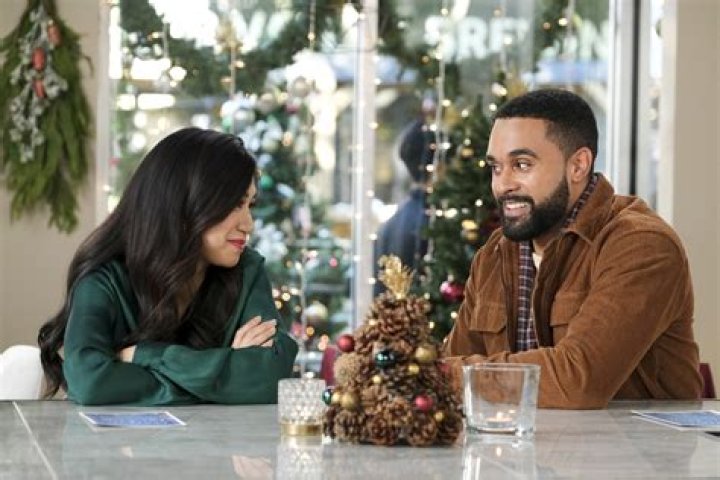 
How Much Is Liza Lapira From Must Love Christmas Worth? 