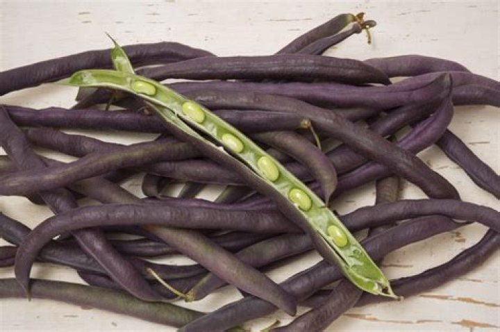 How to grow purple hull peas