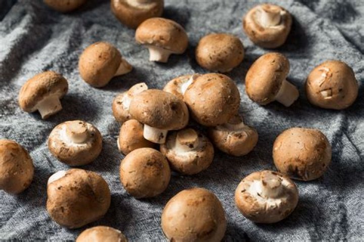 How to store baby bella mushrooms