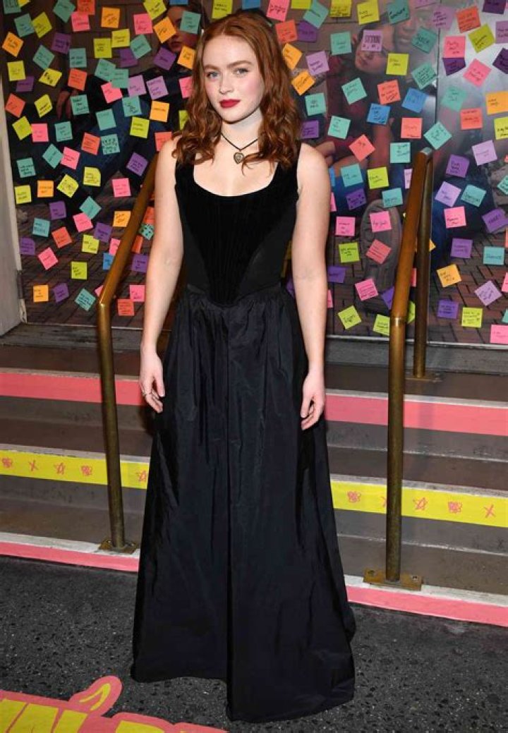 Is Sadie Sink a scream queen? Is Sadie Sink a vegan? How old was Sadie Sink in Season 2?