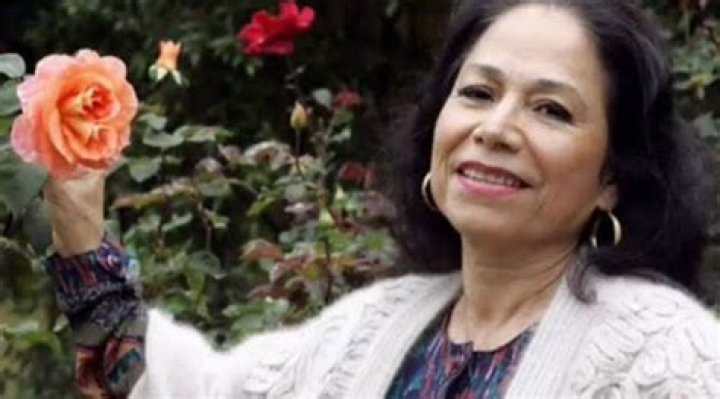 Ivette Lipkies Net Worth