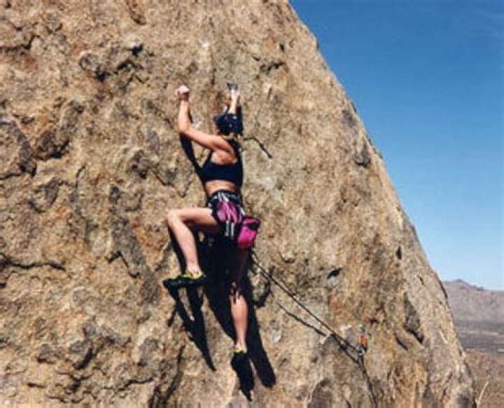 Jill Stokesberry Net Worth