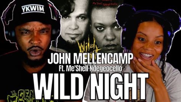 John Mellencamp ft. Me’Shell Ndegéocello’s
Wild Night Lyrics