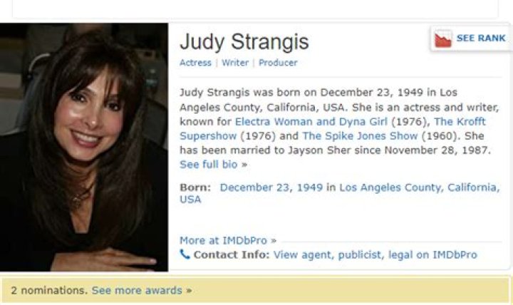 Judy Strangis Net Worth, Income, Salary, Earnings, Biography