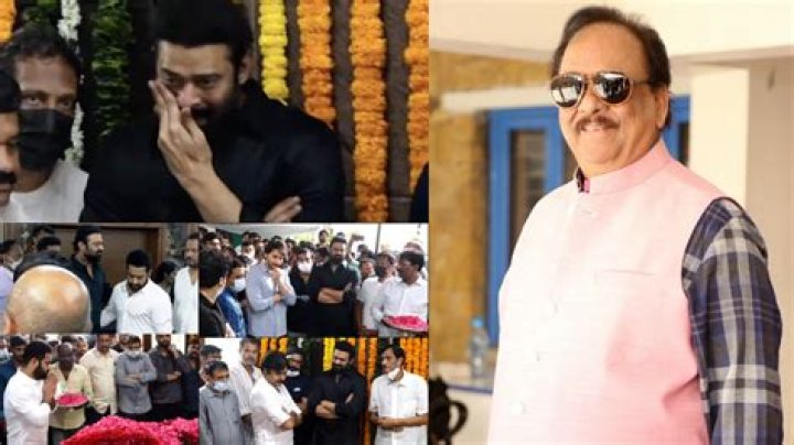 
Krishnam Raju to be cremated with state honours 