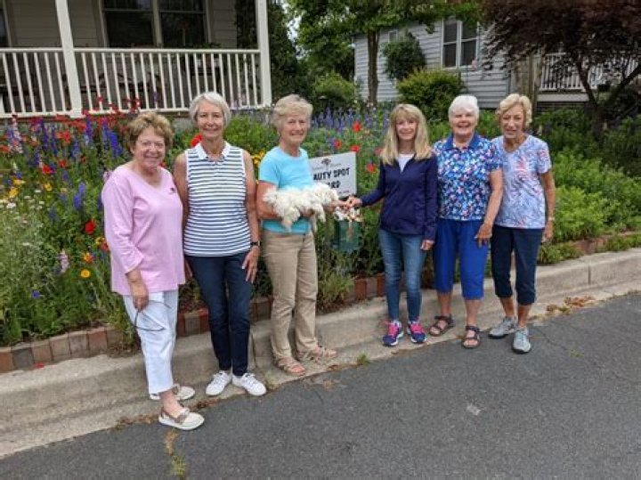 Lorna Dempsey Net Worth