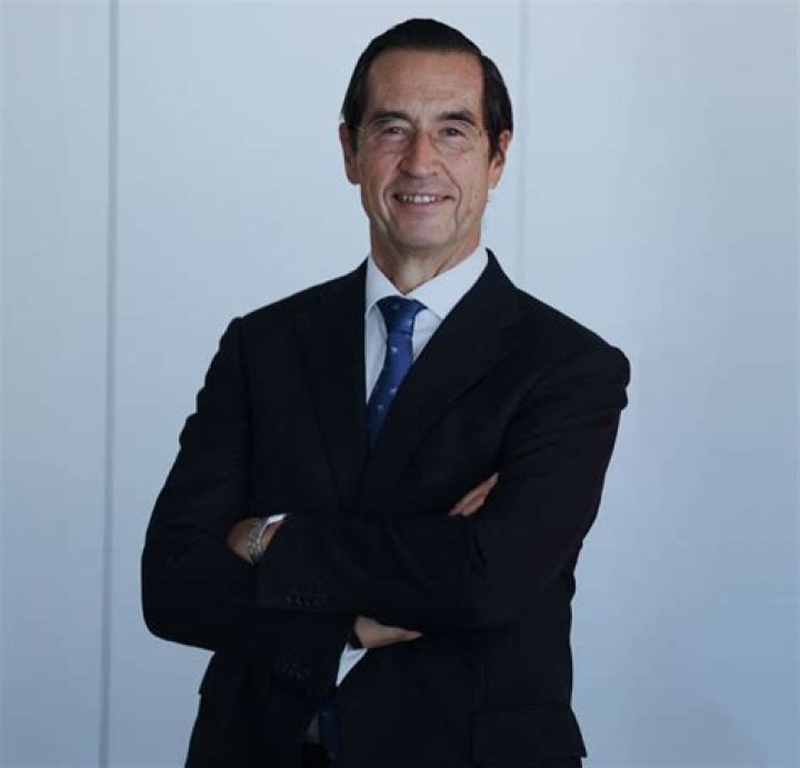 Mario Alonso Puig Net Worth