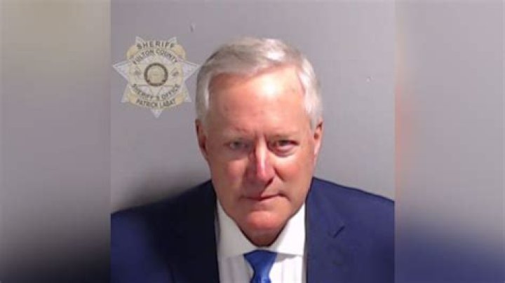 Mark Meadows (Michigan politician)
