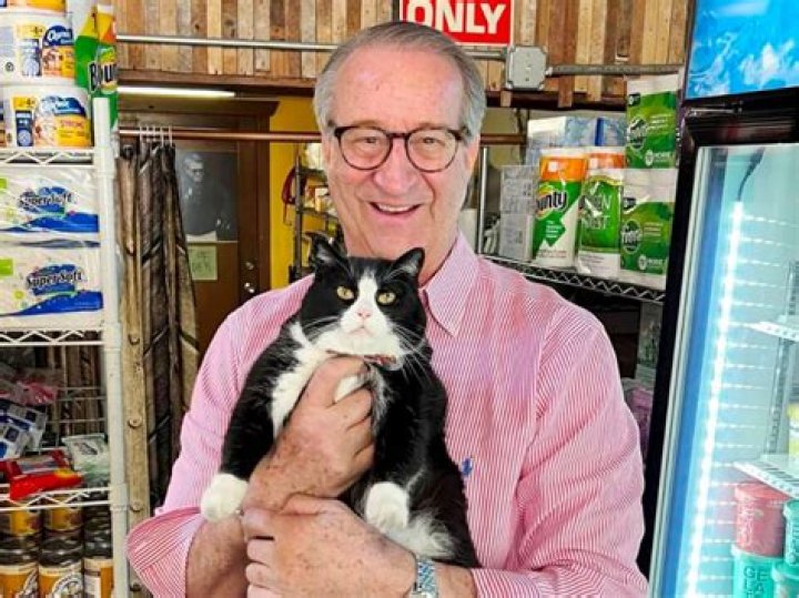 Mark Rosen Net Worth