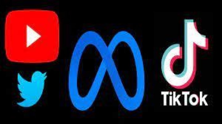 
Meta, TikTok, YouTube, Twitter grilled over privacy, moderation failures 