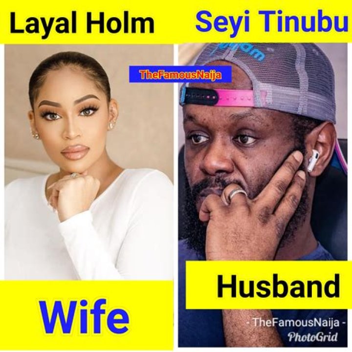 Michael Holm Net Worth