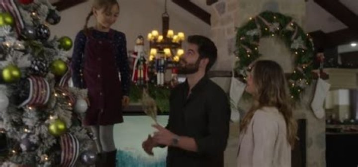 Netflix’s Movie A Christmas Miracle For Daisy Was Filmed In Vancouver