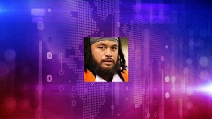 Rey Maualuga Net Worth