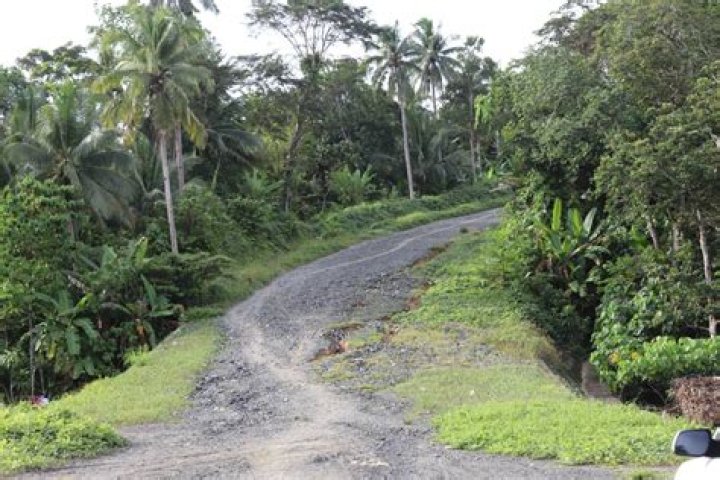 Rina Rosal Net Worth