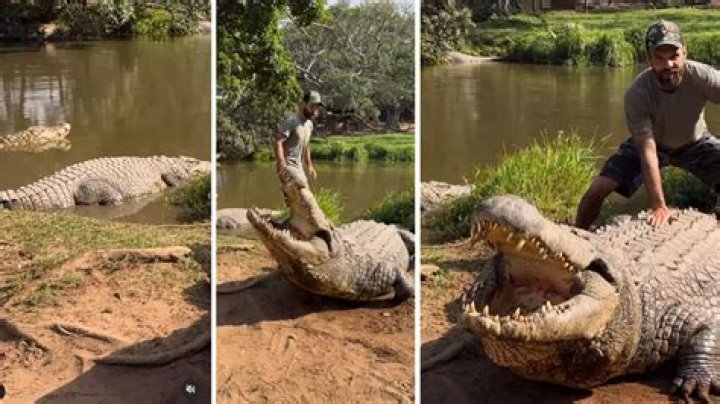 Robert Alleva Net Worth