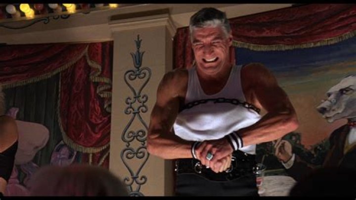 Romano Puppo Net Worth