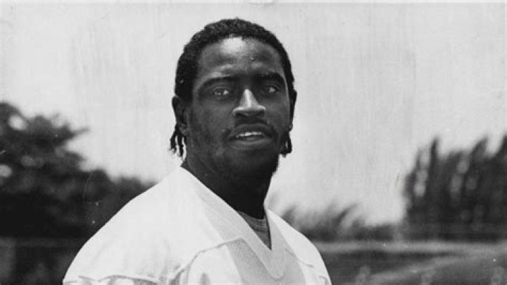 Ronnie Lee (American football)