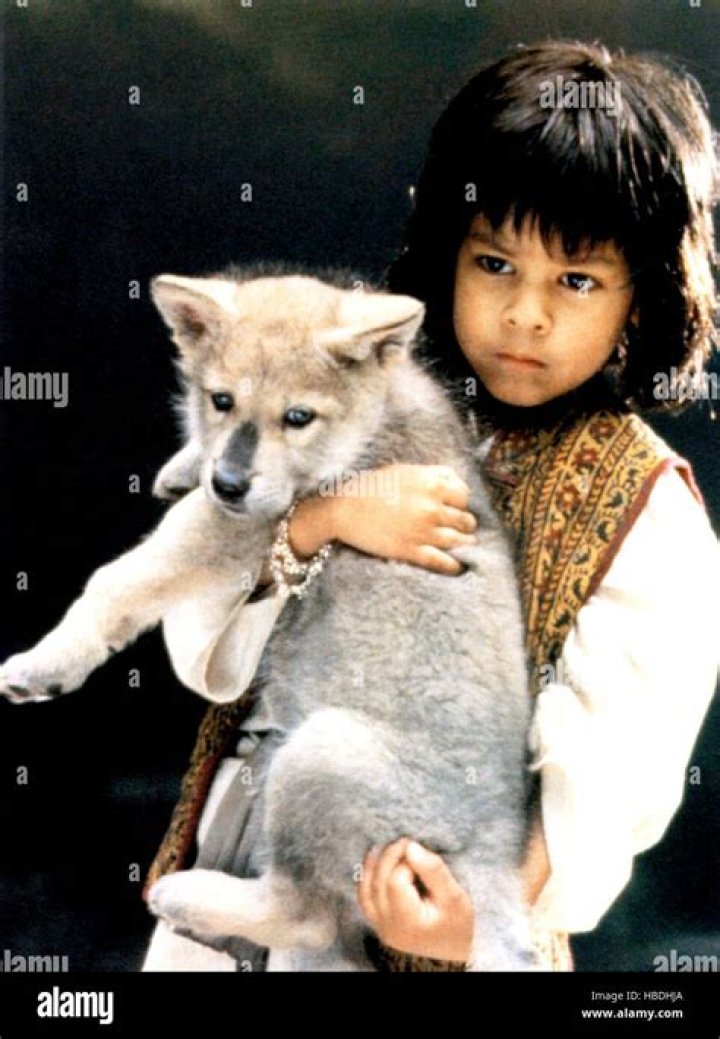 Sean Naegeli Net Worth