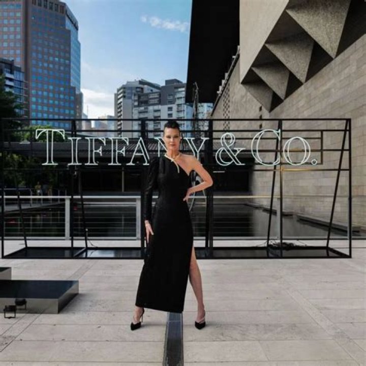 Shalom Harlow Net Worth