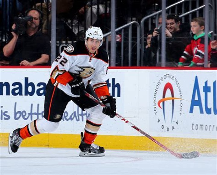 Shawn Horcoff Net Worth