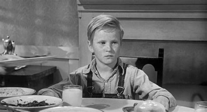 Steve Condit Net Worth