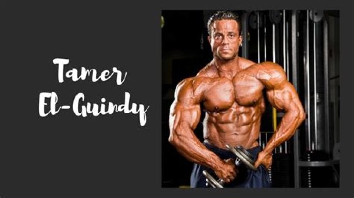 Tamer El-Guindy Net Worth