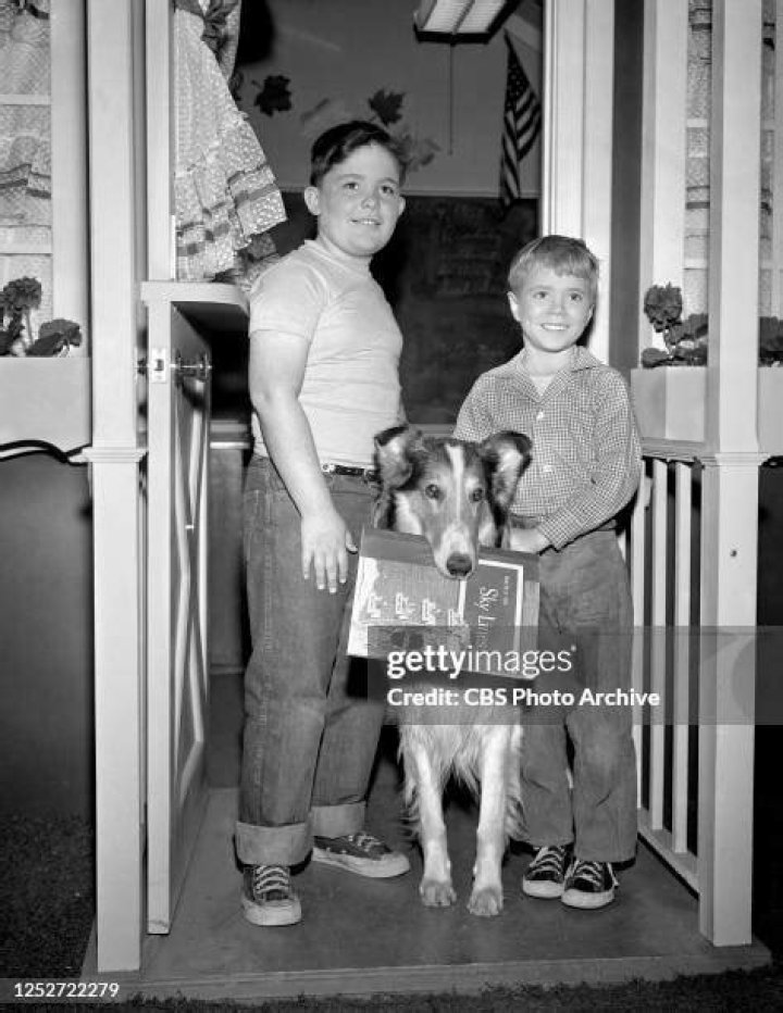 Todd Ferrell Net Worth