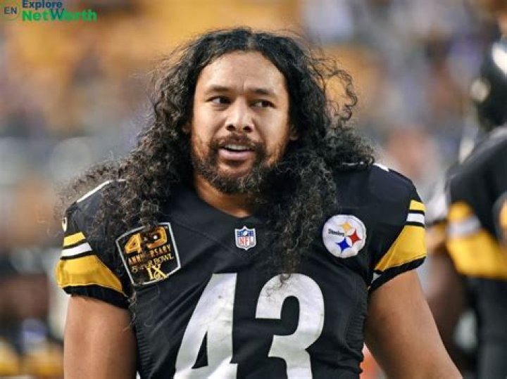 Troy Polamalu Net Worth