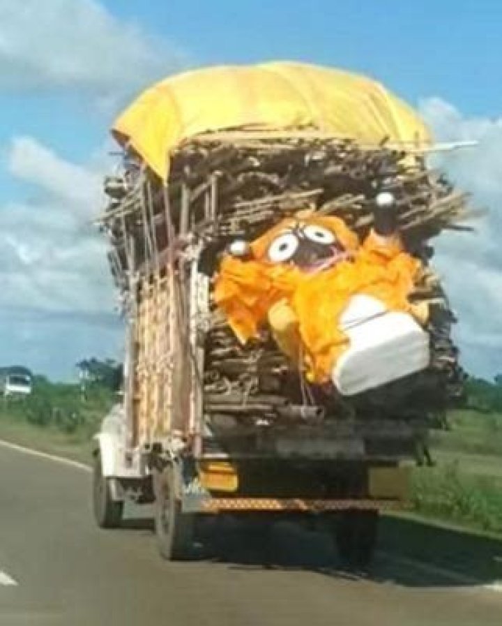 
Viral video of Lord Jagannath’s idol carried in disrespect manner angers netizens 