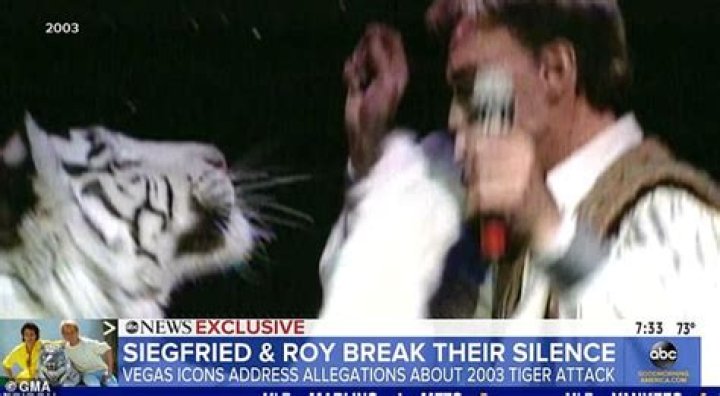Watch: Siegfried And Roy Tiger Attack Video – Where Is Roy Horn Now?