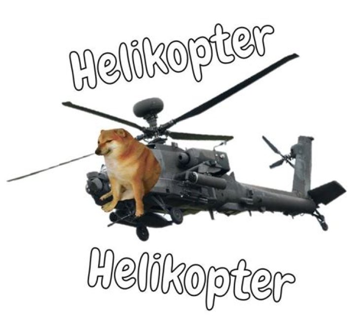 What Is Helicopter Helicopter Meme? Viral TikTok Song Explore