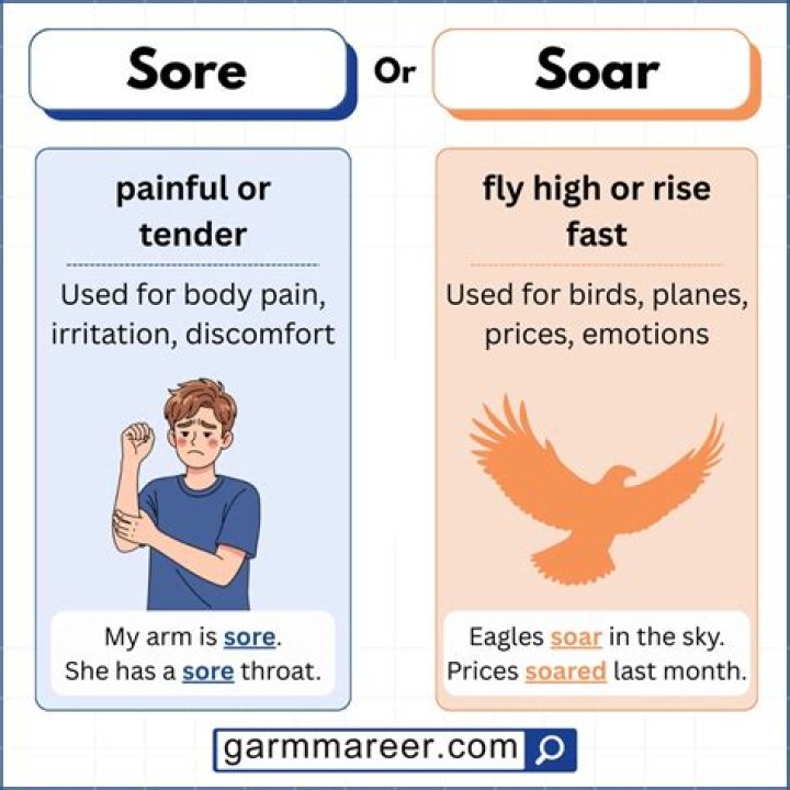 What is the Difference Between Soar and Sore