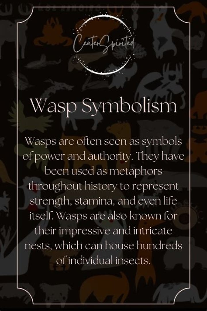 Whats the meaning of tasha