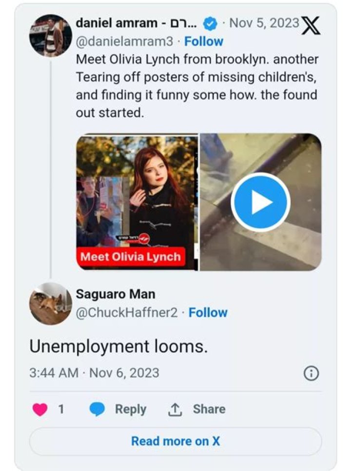 Who is Olivia Lynch? Removal of Missing Jewish Children Posters