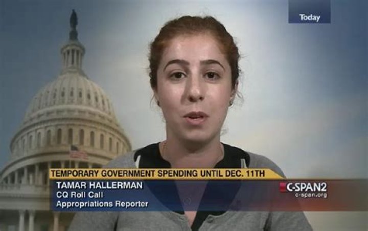 Who Is Tamar Hallerman? Political Reporter Career Facts And Achievements