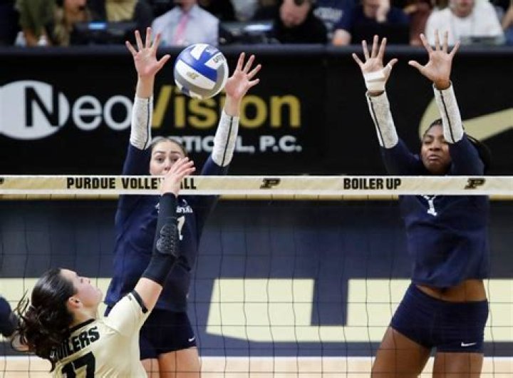 Who Is Taylor Trammell? All About His Current Stats & Draft