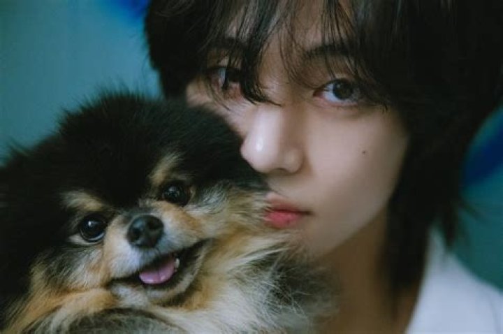 Yeontan