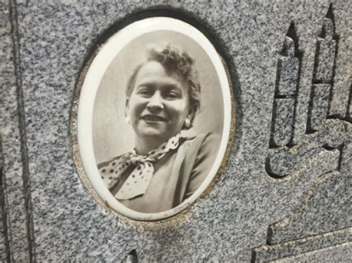 Yetta Levitt Net Worth